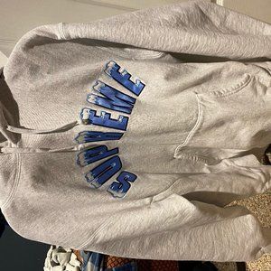 Supreme Icy Arc Hooded Sweatshirt Ash Grey